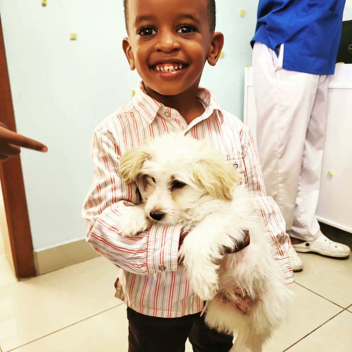VisionRwanda's tweet photo. Our day of open door was an absolute success! Educating especially Children is our highest goal as they are the future if this world. So they learned about animal welfare, how to treat pets and when to go to the vet clinic. https://t.co/zmHX4NeEal
