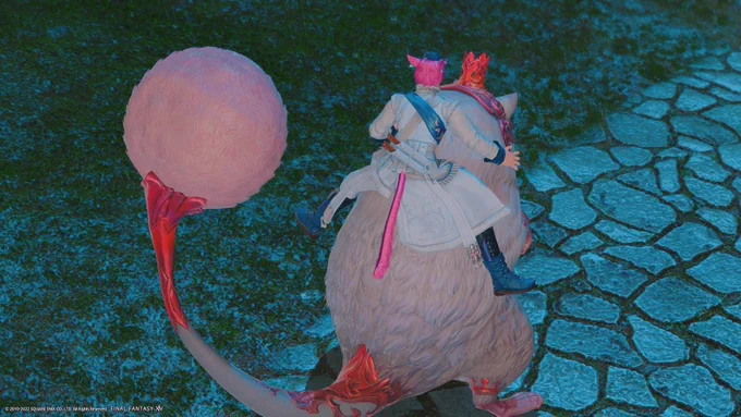 もらった かわいい 