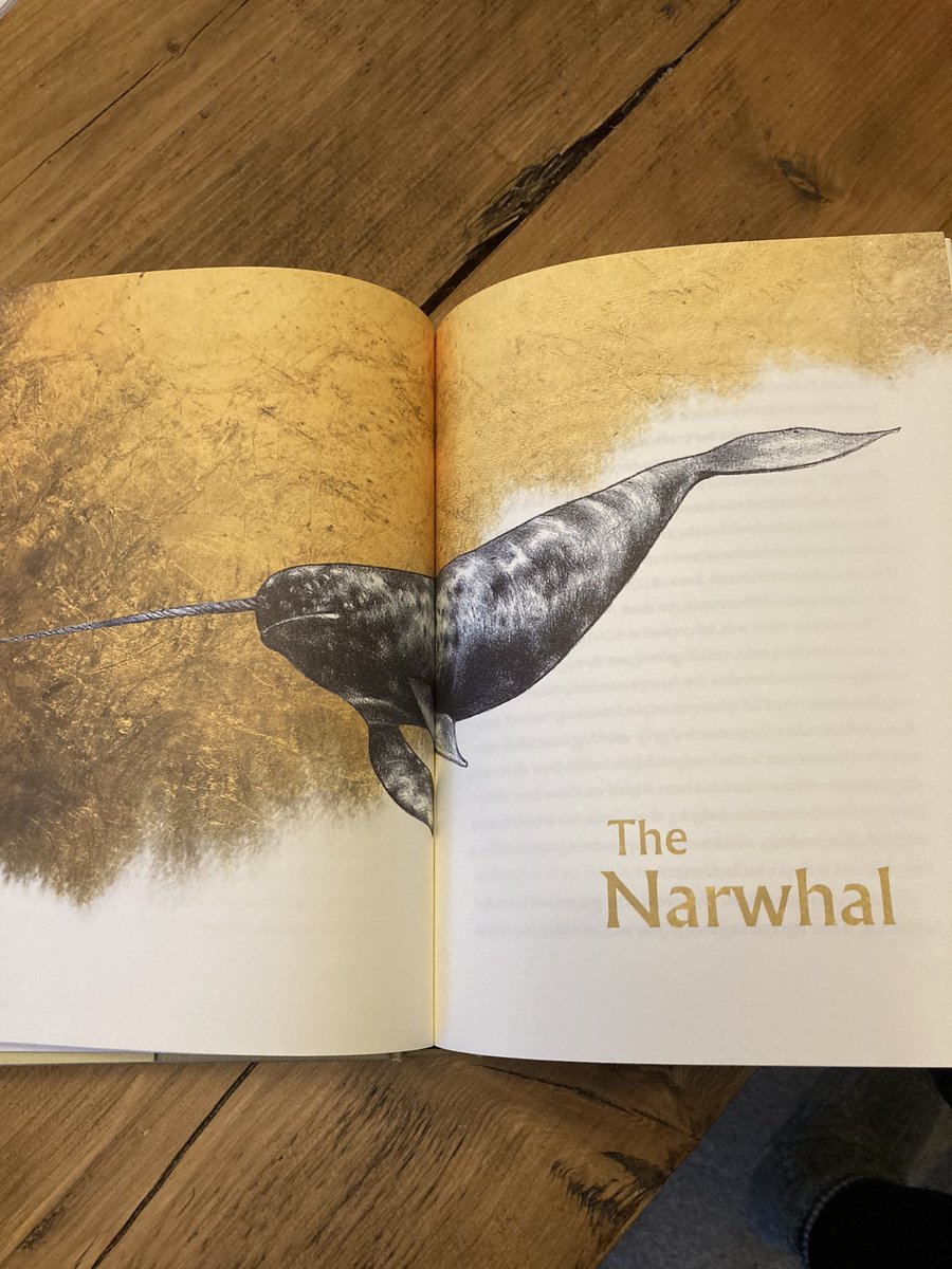 fiona_author's tweet photo. Well this is a gorgeous book! And of course the narwhal makes it on the list! #mgnarwhals https://t.co/BHxotl1i26