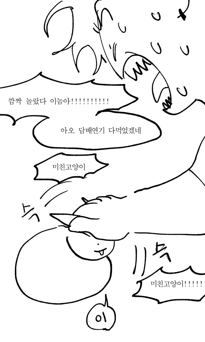 미친고양이 