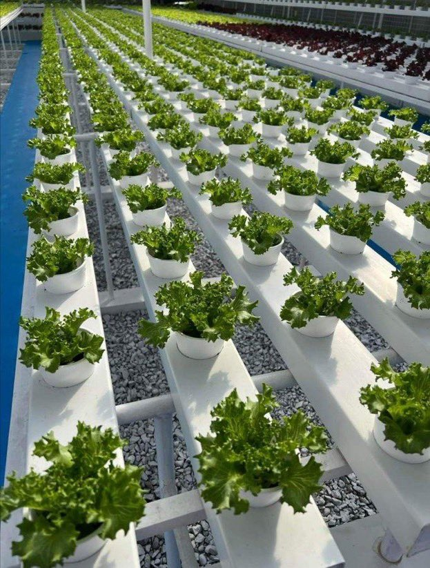 If you are interested in agriculture, like and retweet.