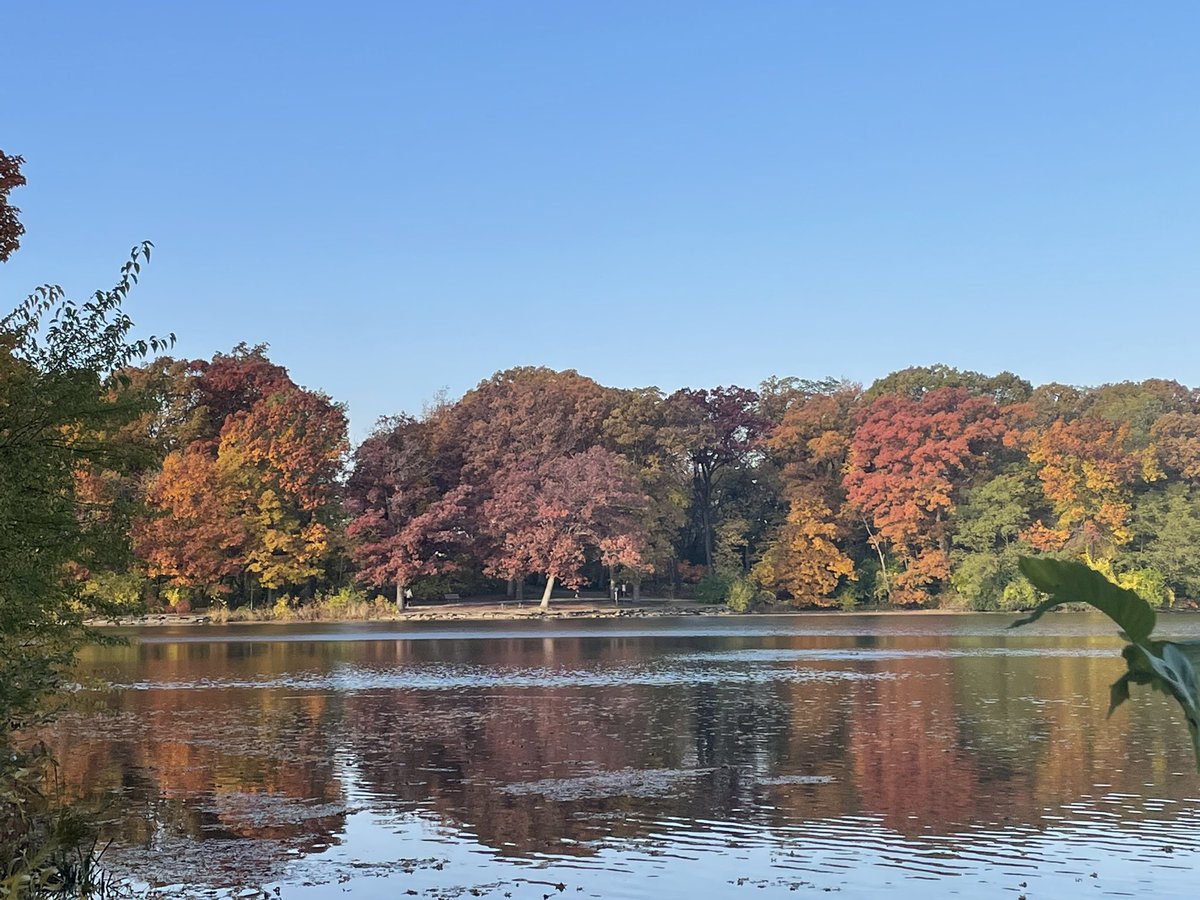 Roshni Joshi tweet media