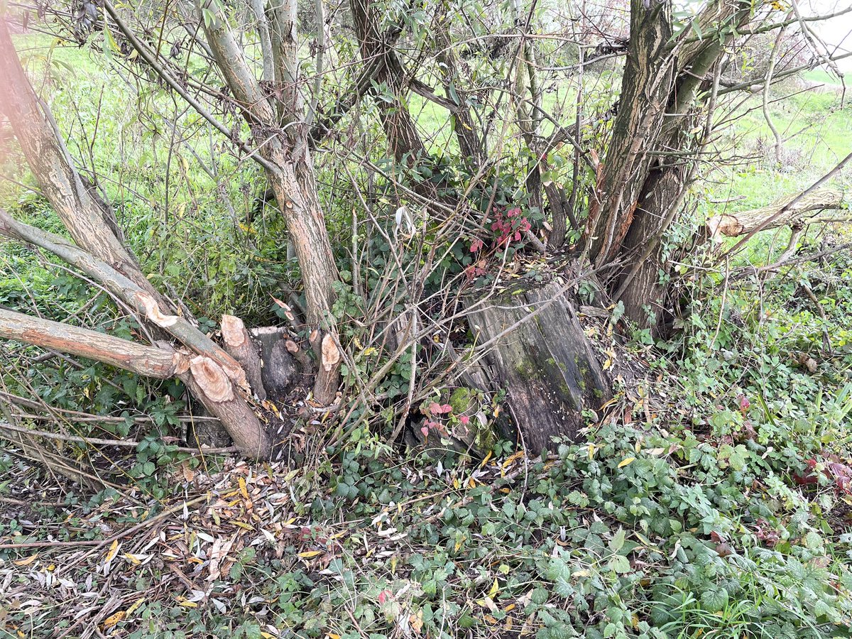 Marcel de Jong (@mdejong1) on Twitter photo 