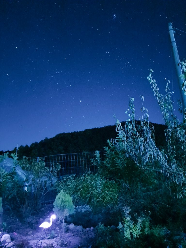 a1sungwoon322's tweet photo. @gooreumseng 밤하늘에 별이 너무 예쁜 날이네요 오늘 밤 예쁜 꿈 꾸길 바래요
다치지말고 건강한 하루하루 보내면서 얼른 다시 만나요♡ https://t.co/QCfMUHzqk9