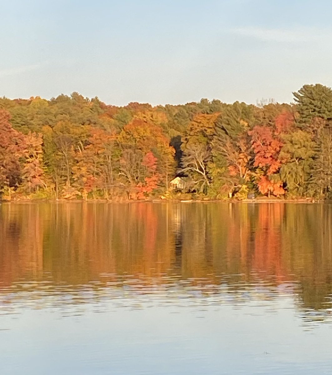 lsonthepond's tweet photo. ⁦Last days of fall in Massachusetts ⁦@stan_sdcollins⁩ https://t.co/tR9PXkQ8U9