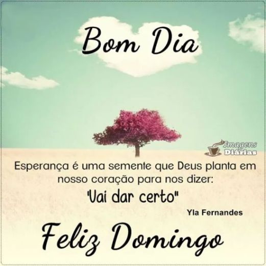 Vamos parar de falar de política e meditarmos na bíblia juízes 10:3
Depois dele levantou-se, Jair,gileadita, que julgou Israel vinte dois anos <a href="/jairbolsonaro/">Jair M. Bolsonaro</a> 
<a href="/CarlosBolsonaro/">Carlos Bolsonaro</a>
