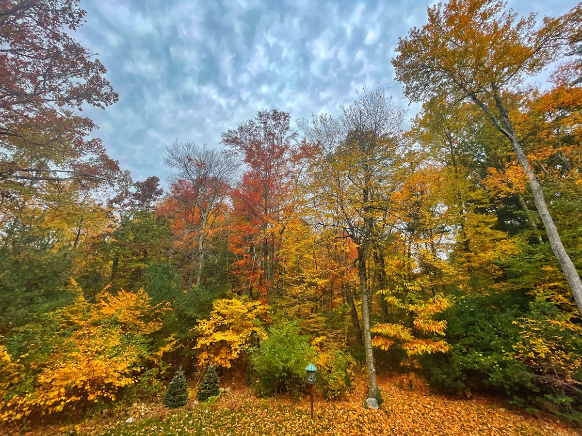 Autumn in New England