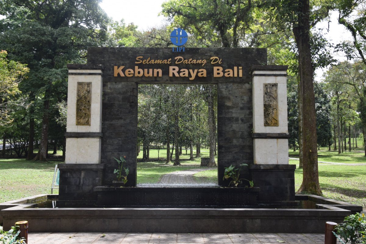 NomadicBrits's tweet photo. The HUGE Bali Botanical Gardens
https://t.co/m3ZOANZvyV
#travel #lookatourworld #travelbloging #travelbloggers #BaliGardens #BotanicalGardens #CactusHouse #Nature https://t.co/TJciHieD7u