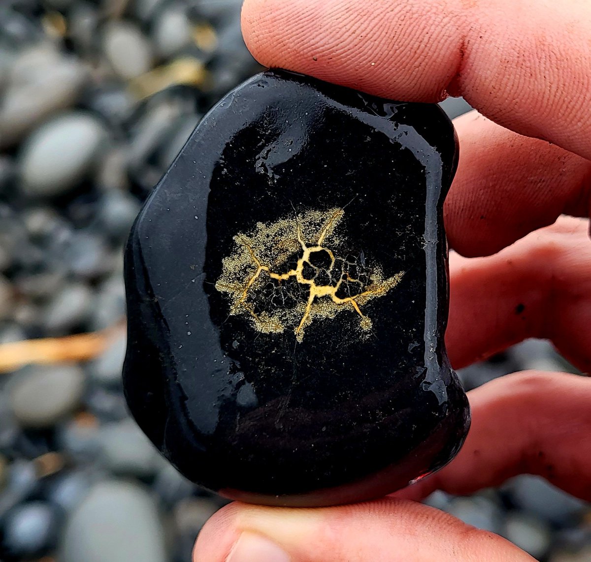 cormac_mcginley's tweet photo. A Septarian Nodule filled with Iron Pyrite (Fools Gold), County Clare, Ireland. https://t.co/WG0Iw1Z9zI