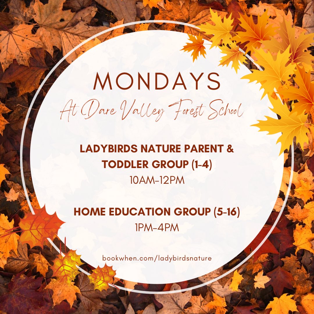 Mondays at Dare Valley Forest School 

🐞 Ladybirds Nature Parent &amp; Toddler Group
10am-12pm | Ages 1-4  

🍂 Home Education Group
1pm-4pm | Ages 5-16 

➡️ Book now: bookwhen.com/ladybirdsnature

#forestschool #homeedcymru #homeedwales #rhonddacynontaff #rhonddacynontaf #aberdare