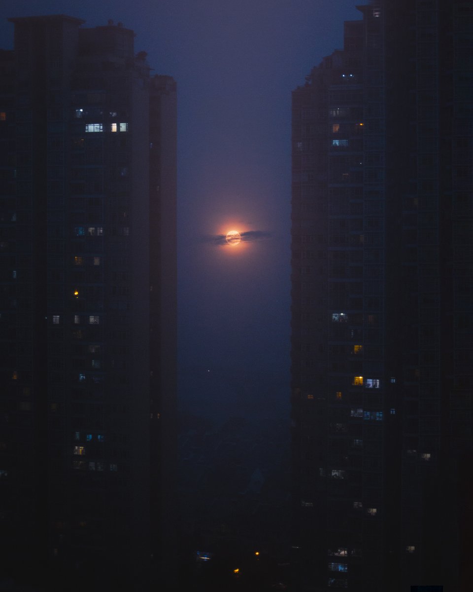 trungbaotr's tweet image. in-between