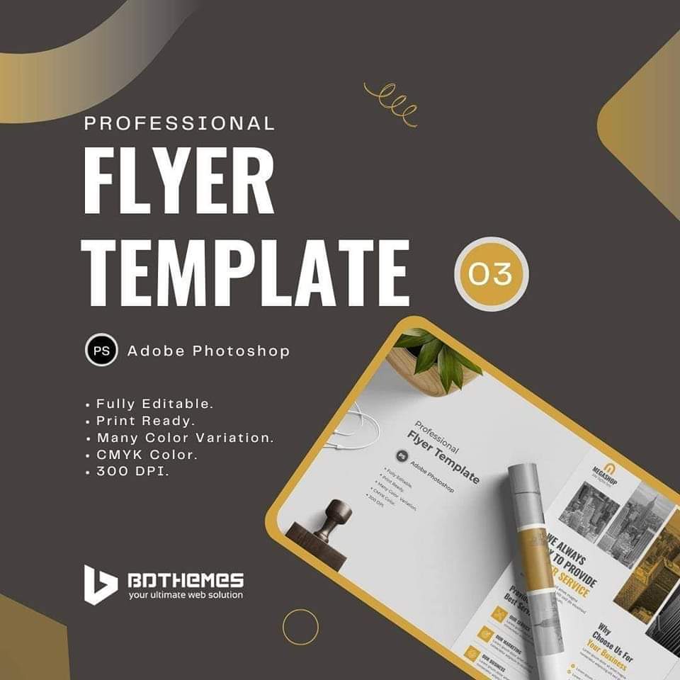 Professional Flyer Template - 03
-
-
-
-
-
dribbble.com/shots/16683489…

 #webdesigner #digitalmarketing #seo #branding #websitedesign #webdeveloper #web #ui #html #socialmedia #uidesign #ux #css #business #socialmediamarketing #bdthemes