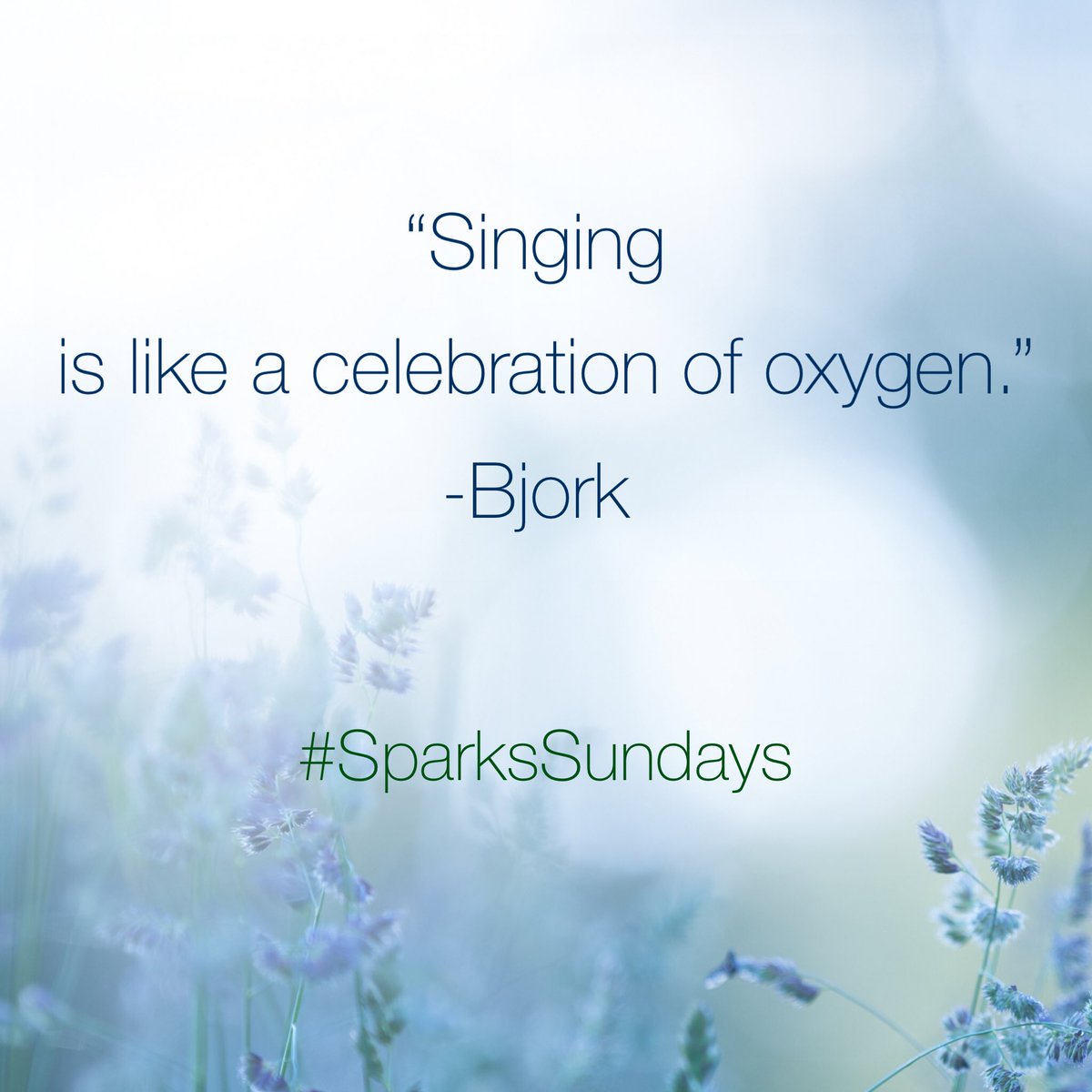 TheMusicMedium's tweet photo. #happysunday #sing #singing #celebrationofoxygen #singingisacelebration #singingislikeacelebration #oxygen #bjork #bjorkquotes #bjorkquote
 #inspirationalquote #inspirationalquotes #sunday #sparksgirl #sparkssundays #sparks #sparksgirlforever #jennifersparksmusic #jennifersparks https://t.co/kECjH4Yk7e