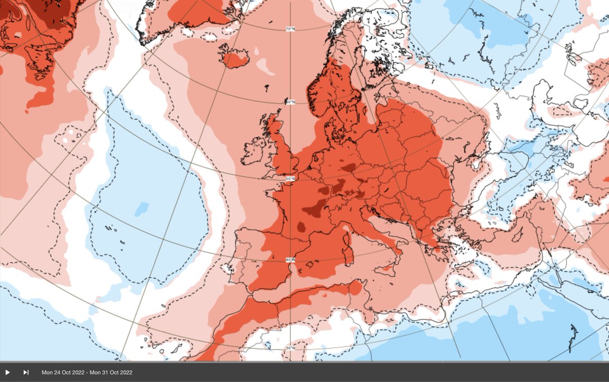 Àlex Van der Laan tweet media