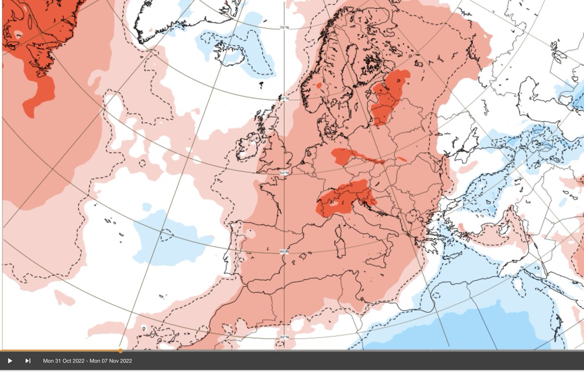 Àlex Van der Laan tweet media