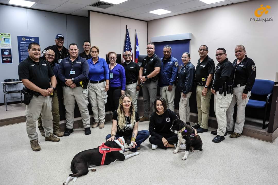 Lilliangn's tweet photo. #TrainingDay #PoliceAcademy #AnimalWelfare #ThanksGod https://t.co/Wgh0ROPTVt