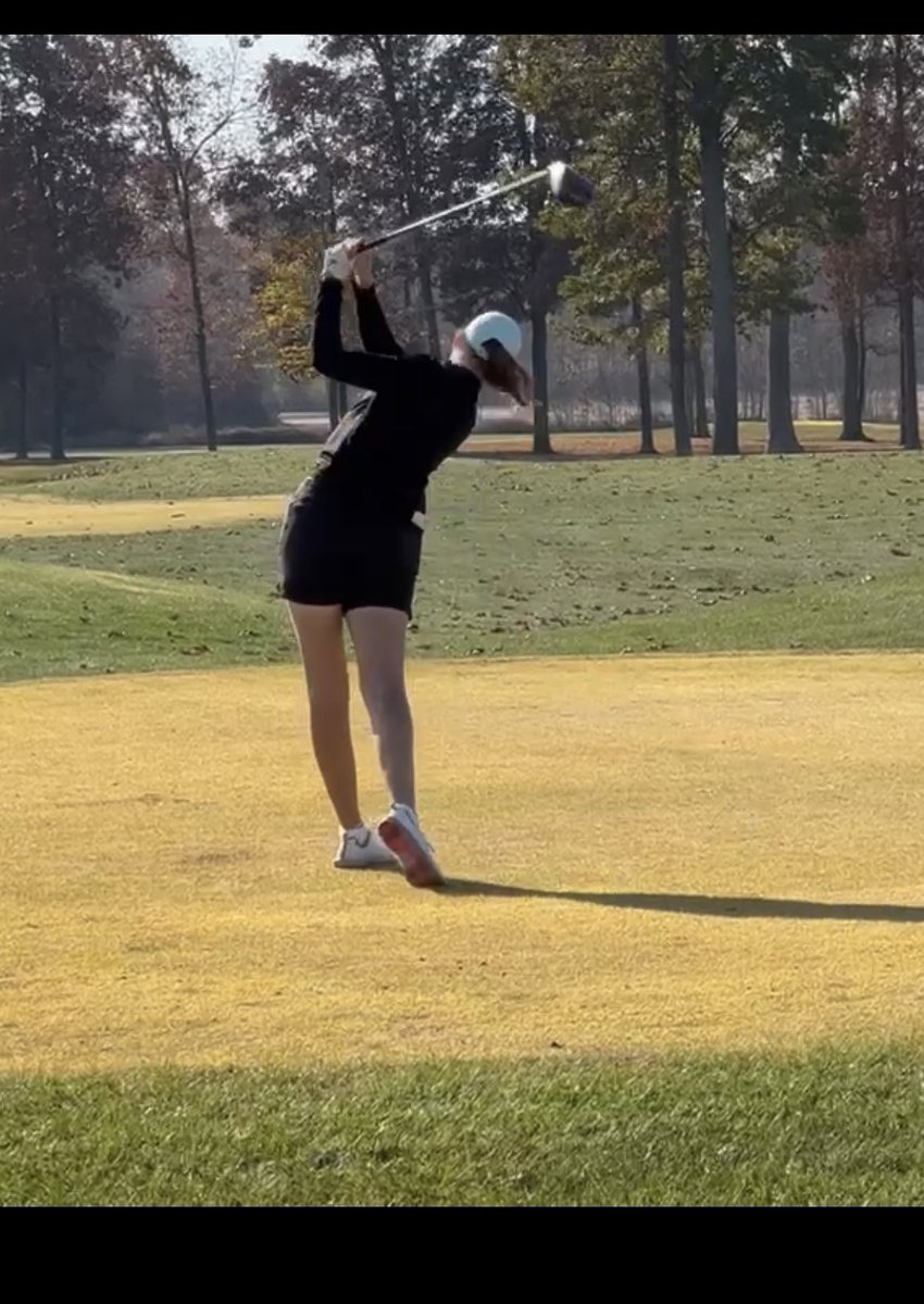 David Seitz tweet media