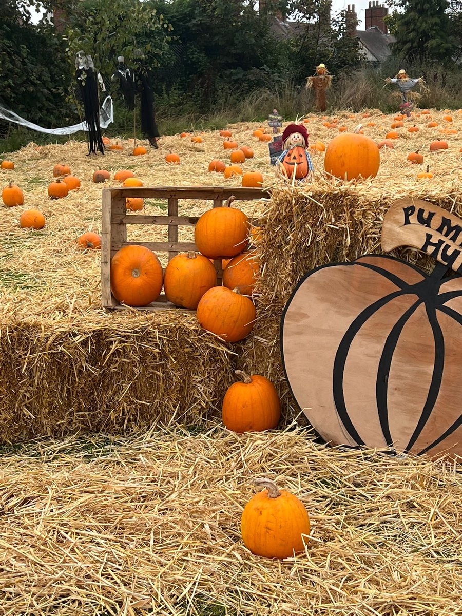 All in a Sunday mornings work ☺️.. Creating a pumpkin patch for all the children accessing #Yo 1/2 term activities at <a href="/big_venture/">Big Local Venture</a> Look out for our partner site activities at the new Fifth Avenue CC <a href="/BushburyHillEMB/">Bushbury Hill EMB</a> , Park Village Education Centre <a href="/wfrc_/">The Women And Family Resource Centre</a> &amp; <a href="/stratton_street/">Stratton Street Community Centre</a> 🍂🎃