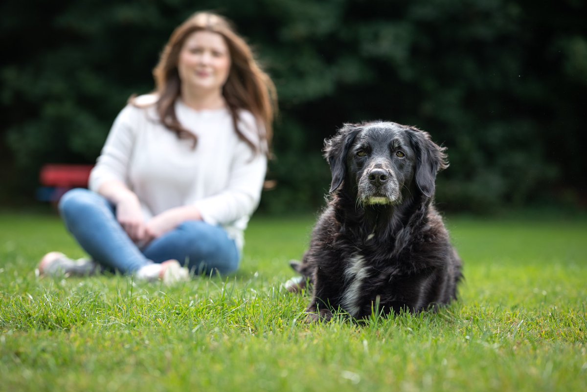 CaninesOfCork's tweet photo. Meet Rosie 💜

Rosie is a 12 year old border collie.

#dogsoftwitter #FIRST_LOVE #dogs
#Pitbulls #dogphotography #photographer #twitterdogcommunity
#FirstPost #animal #love #Nikon #DogLover https://t.co/lpp6DdA2pH