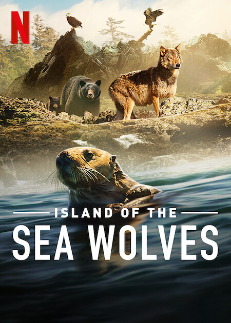 METUBO's tweet photo. Belgesel izlemekten keyif alanınız varsa tavsiye ederim. Güzel bir yapım olmuş. Netflix belgesel konusunda her geçen gün daha iyi yapımlar sunuyor.
#islandoftheseawolves
#Netflix https://t.co/oP1z6Ri5IN