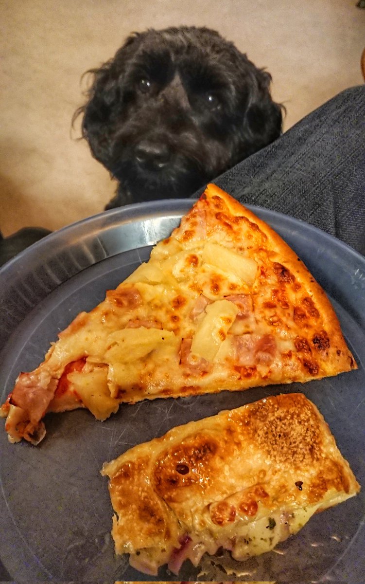 kfcurry's tweet photo. What do you mean I'm not allowed any? https://t.co/dGuFipn9Gh