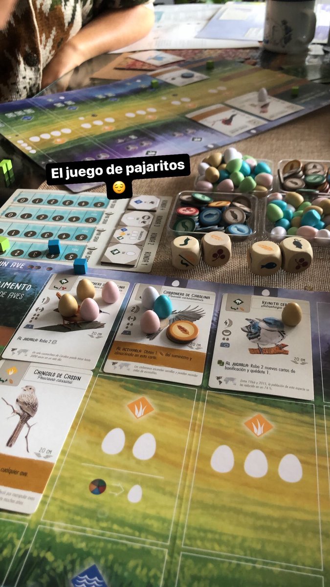 noah_schtone's tweet photo. ¿Cómo pasar la tarde de domingo de manera geológica? Jugando con pajaritos 💁🏻 @piedrologa https://t.co/T3GkXbeTie
