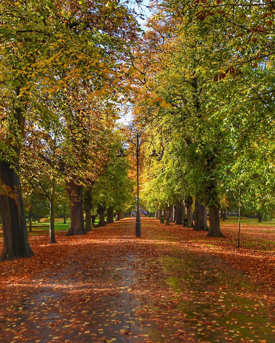 FawkesKev's tweet photo. @edpkingslynn @YourLocalPaper #Autumn #AutumnVibes #kingslynn #thewalks https://t.co/JO4lw7emjT