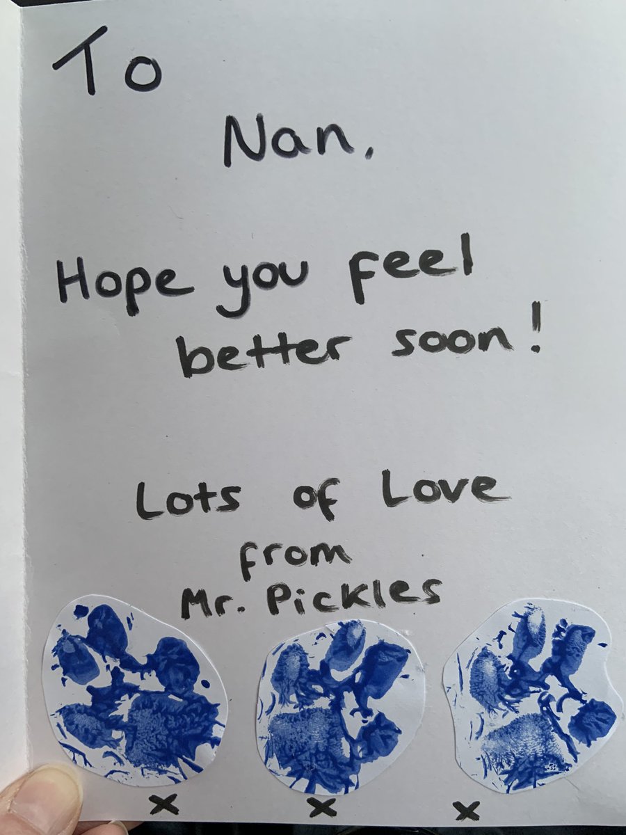 MrPicklestheHavapoo tweet media