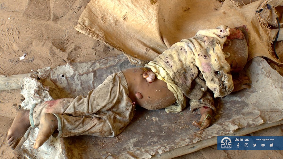 andexgg's tweet photo. @SecBlinken @WilliamsRuto Look what @Ethiopia &amp; #Eritrea gov'ts did today at #AbiyAdi and this is what you are blessing. https://t.co/dOm8F3baZf