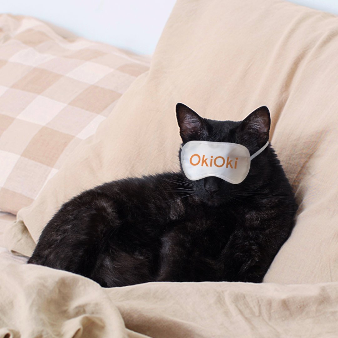 It's time to rest up and get ready for a purrrrfect Halloween! 🐈‍⬛🕯️🔮

#NapTime #SleepyAnimals #Halloween