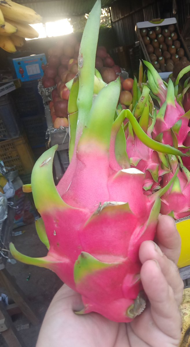 How much do you know about this fruit, have you eaten &amp; heard something about this fruit before? if your answer is Yes, reply me in this tweet