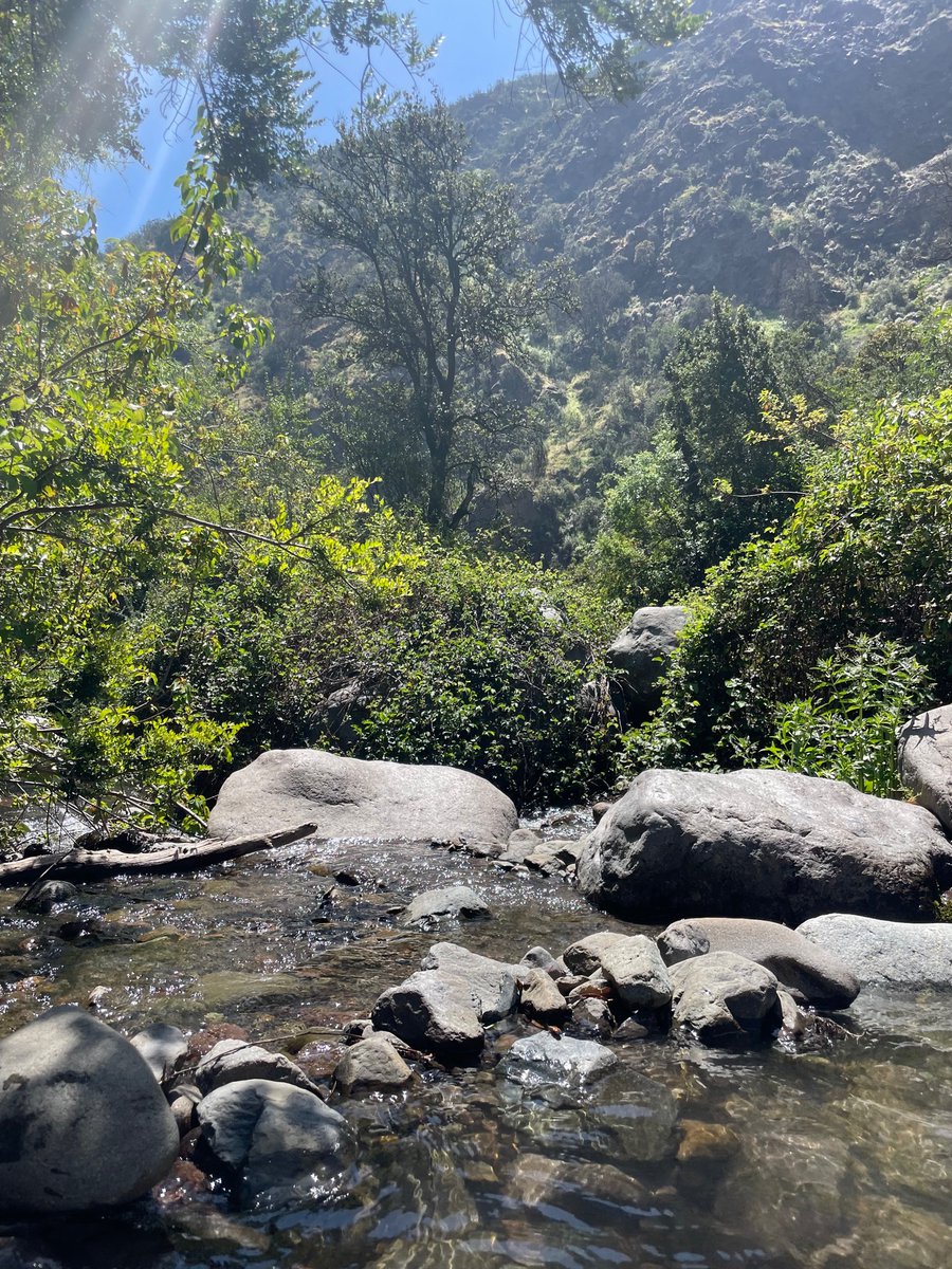 on the doorstep of Santiago. i am a 100% convert to hiking in Chile 🌵 📍 Parque Aguas de Ramón