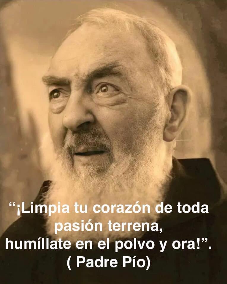 “¡Limpia tu corazón de toda pasión terrena, humíllate en el polvo y ora!”

- SAN PÍO DE PIETRELCINA
