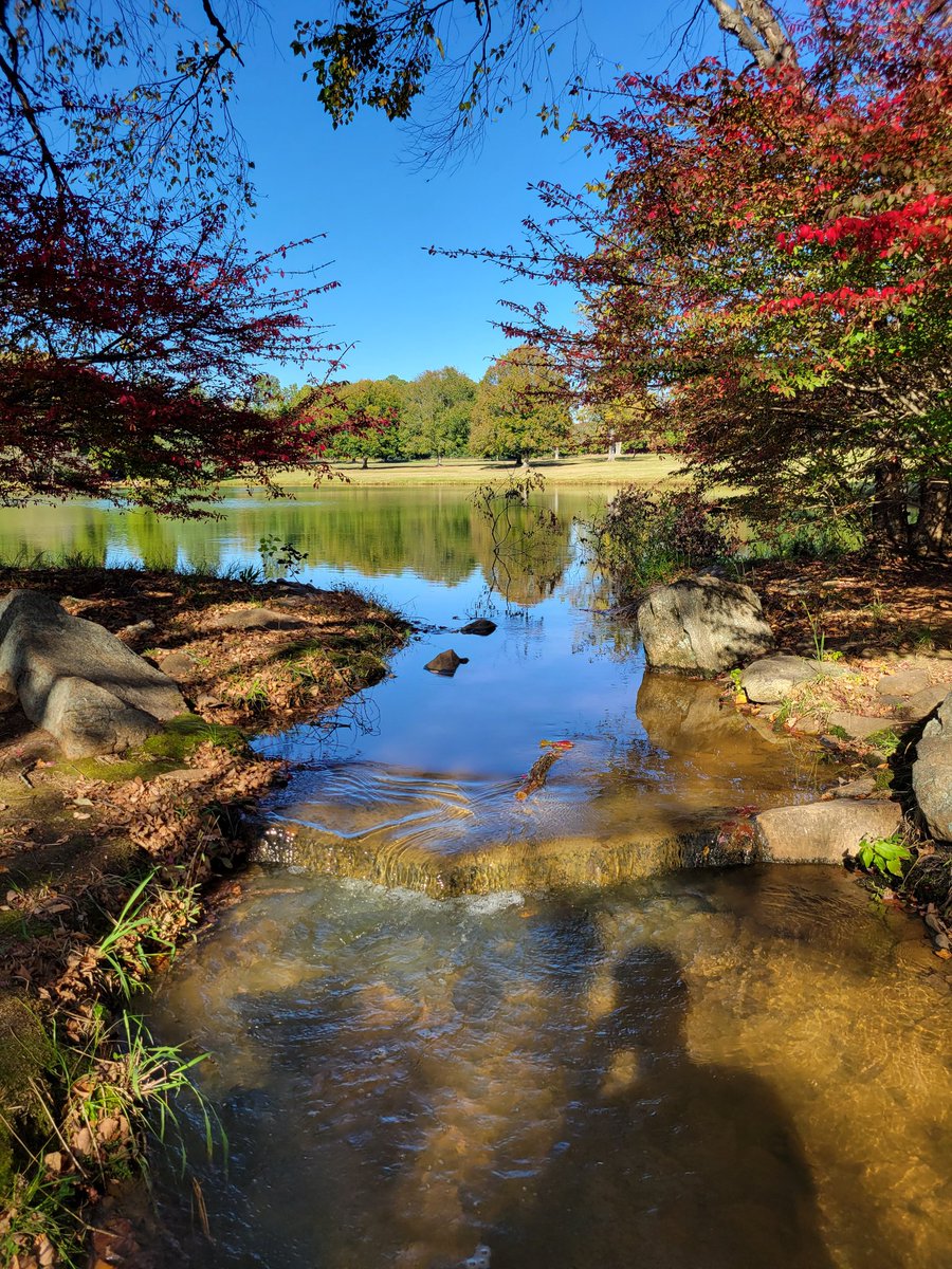 Took some time to appreciate God's gift today.