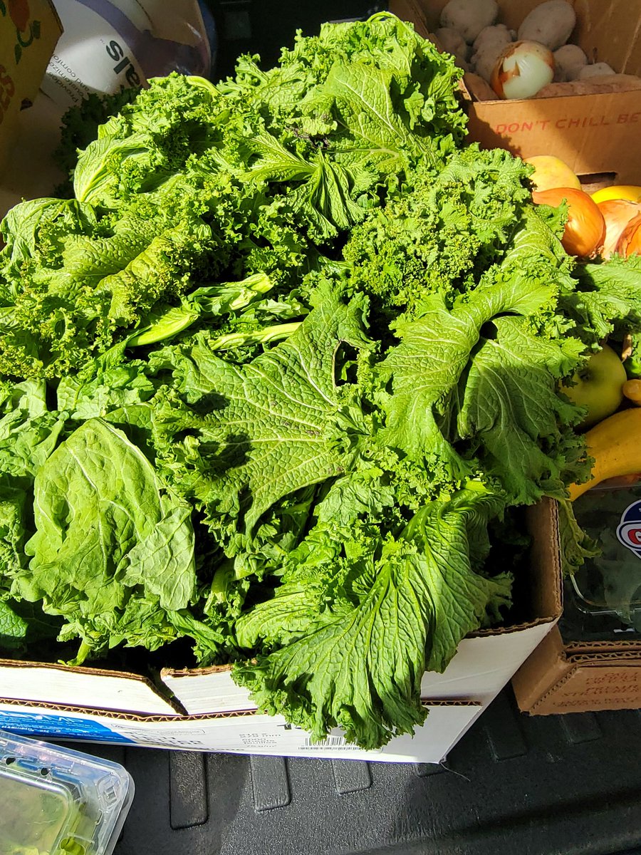 I cooked 10 pounds of mustard greens and froze them for the holidays this weekend. It was a meditation, a communion with the mothers. The cleaning, the chopping, the weight of the stockpot. My BFF said 'Girl, is there a wedding or something?' 🤣