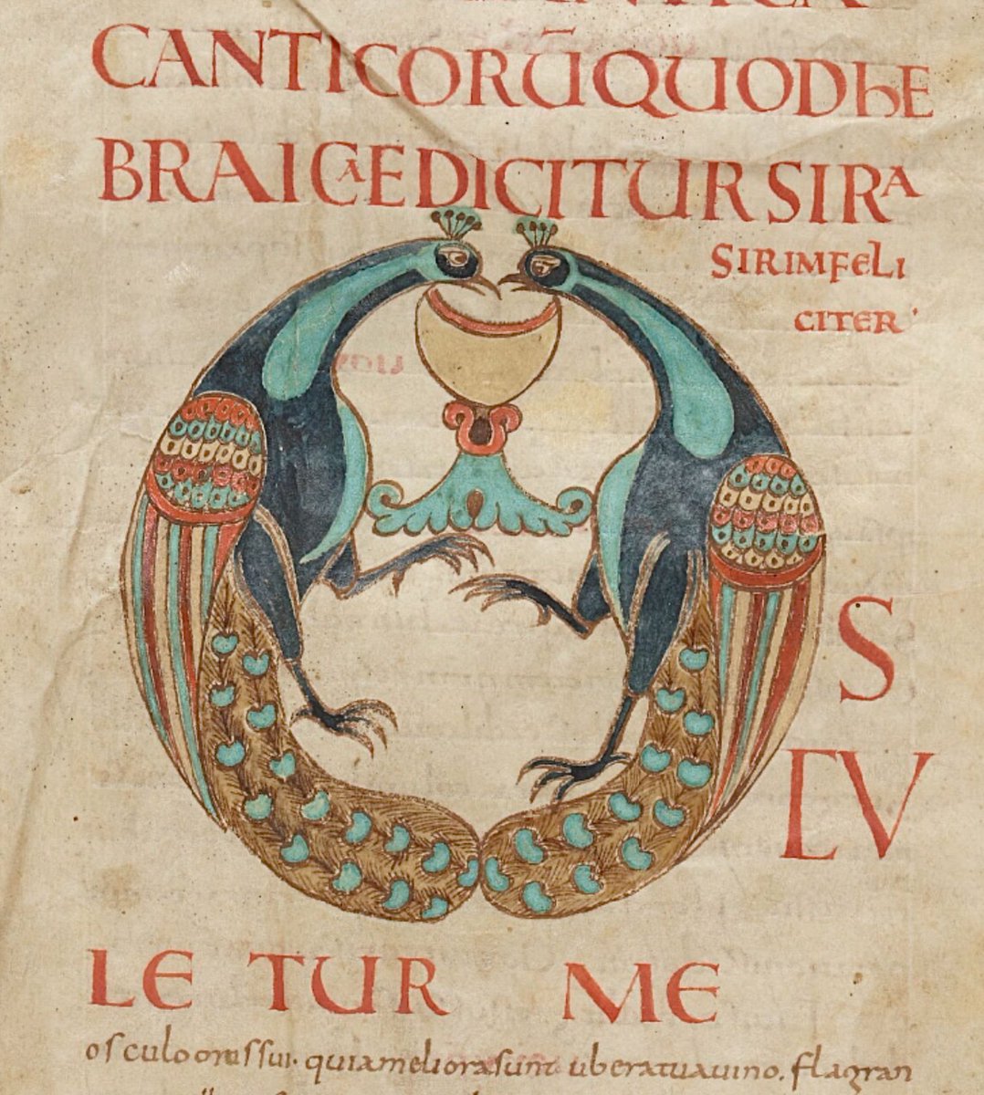 Ennius (@red_loeb) on Twitter photo Two peacocks with beaks touching over what appears to be a chalice form the initial 'O'(sculetur me) at the beginning of Song of Songs
BnF MS Latin 5(2); Biblia Sancti Martialis Lemovicensis, pars II; 10th-11th century; f.51r <a href="/GallicaBnF/">Gallica BnF</a> Two peacocks with beaks touching over what appears to be a chalice form the initial 'O'(sculetur me) at the beginning of Song of Songs
BnF MS Latin 5(2); Biblia Sancti Martialis Lemovicensis, pars II; 10th-11th century; f.51r <a href="/GallicaBnF/">Gallica BnF</a>