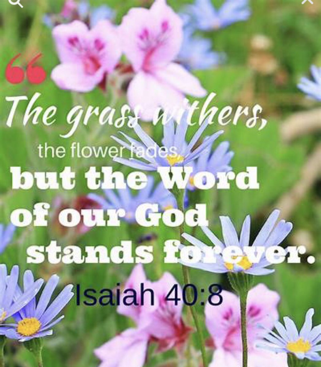 @elliesangelwing @810100jn @intrinsictweets @jamielcantu @LeslieN84904651 @MimiLovesJesus5 @emmanuelobi476 @savebygrace71 @nancy757366841 @MildredOQuin1 @JoeRod94900216 @albert70x7 @KnightlyMike @elviraamberg @BeachcatTt @EllahieCooking @DonataLueck @Stewart7Donna @Ccangelsing @ed_lamon @Angelmom337 @Carole77777 @RoseAmeli1 @beyaself1 @Pgh_Buz @DavidPr70117773 @SkiltonRay @todaypraise8 @IIIDeaton @elosisofficial @DawnLynnMann1 @JaksMimi2 @ChristIsComing4 @great0727 @lyfetreker THEREFORE being, justified by faith, we have peace with God through our LORD JESUS CHRIST; By whom also we have access by faith unto this grace therein we stand, and rejoice in hope of the glory of God. Romans 5:1-2