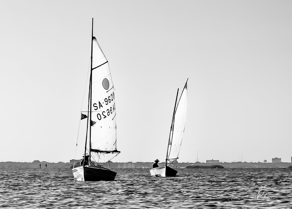 studios_karl's tweet photo. "On The Wind" - Breezy morning out on the bay 

For richer more detailed image, visit my gallery site, https://t.co/1nARPwTd7Y

Nikon D7000 + Nikon DX 18-200

#bnwphotography #sailing https://t.co/cVkd1VdVMC