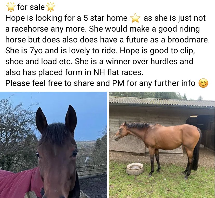 ⭐️For Sale⭐️
