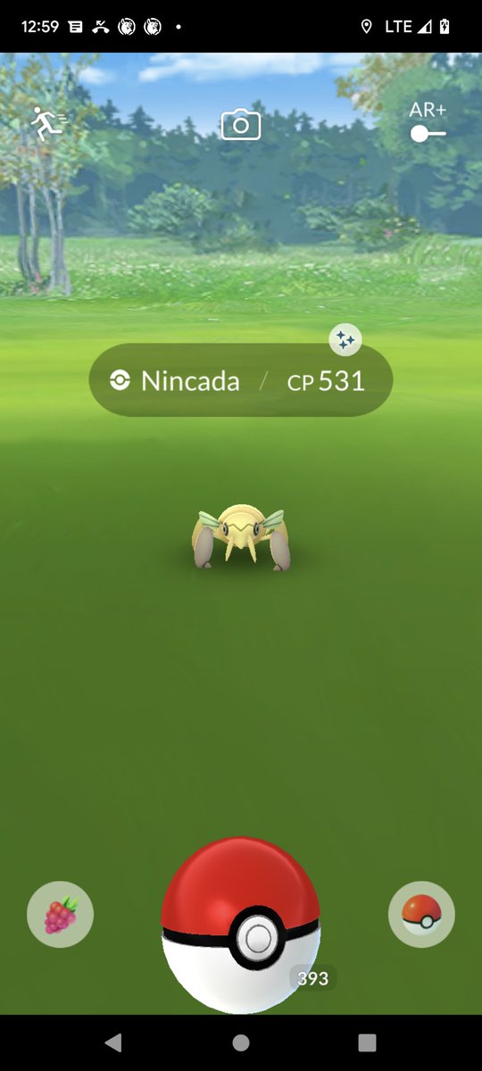 OtakuKing_8's tweet photo. My first #ShinyPokemon from #PokemonGo, and it's a Damned #Nincada, and it's not even good...
#Fuck!!
#Pokemon
#PokemonGoApp
#Shiny
#ShinyHunting
#ShinyNincada
#PokemonGoShiny
#BadShinyPokemon
#FuckMyLife
#NotWhatIAskedFor
#BadStats https://t.co/7cno7oAnCK