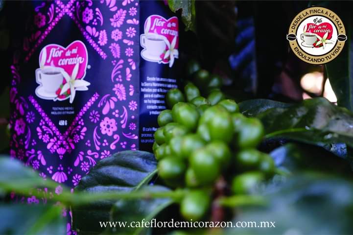flordmicorazon's tweet photo. Consume el café #FlorDeMiCorazon orgulloso producto de Zapotitlán de Méndez #Puebla #México  #consumelocal #OrgulloPuebla #zapotitlándeméndez. El mejor café para la mejor persona. Pedidos al +52 233 117 5902 https://t.co/Ri4KRCfT8O