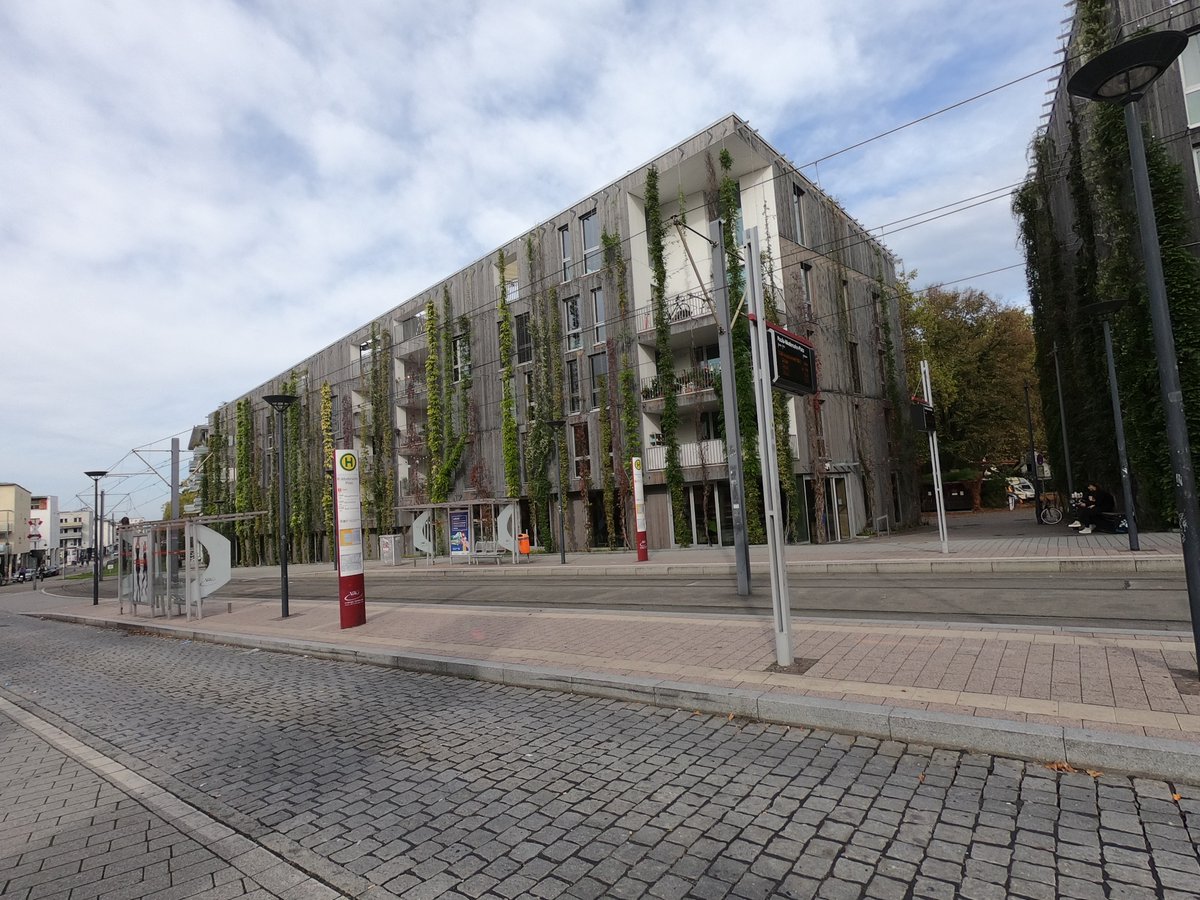 Thank you <a href="/teubner_w/">Wolfgang Teubner</a> for showing me around #Vauban Freiburg - one of the most successful sustainable neighbourhoods in the world!