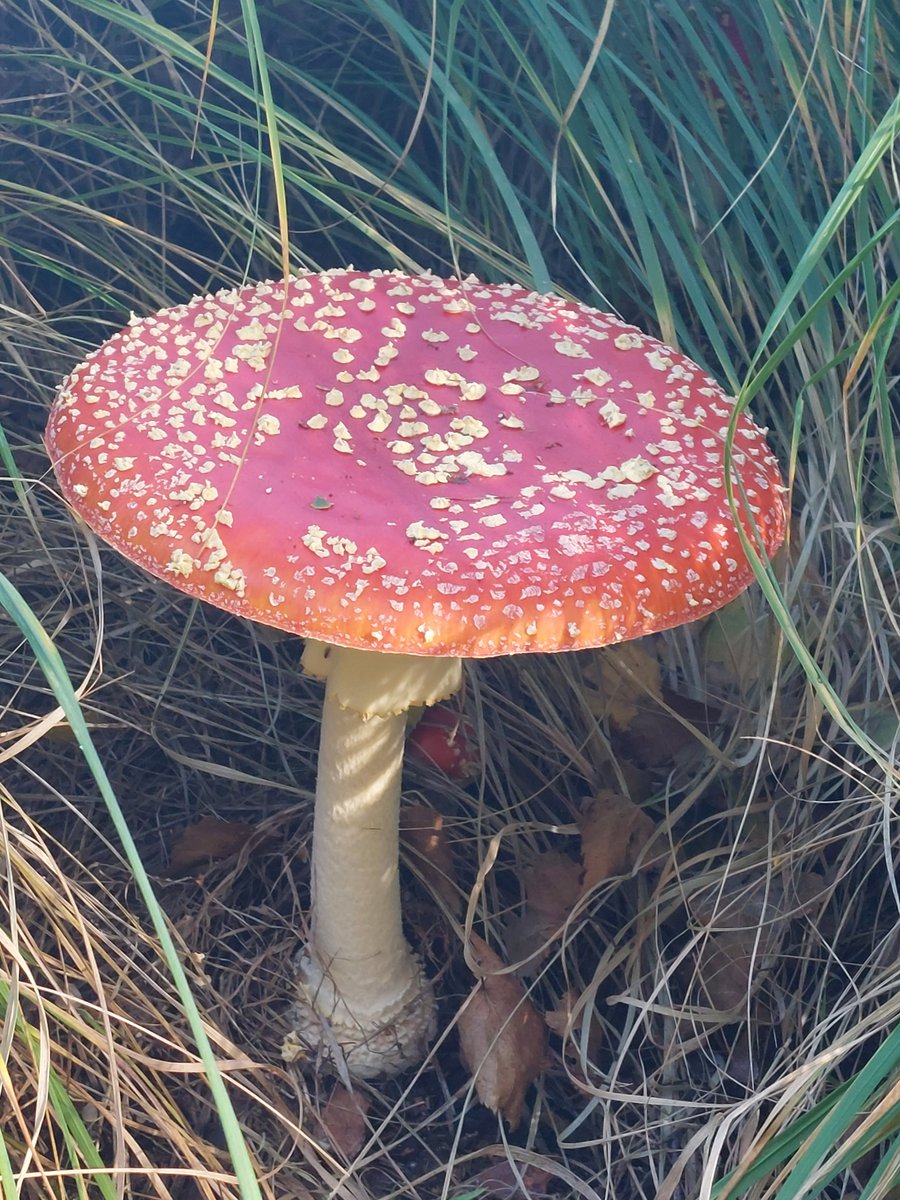 Martine Rake tweet media