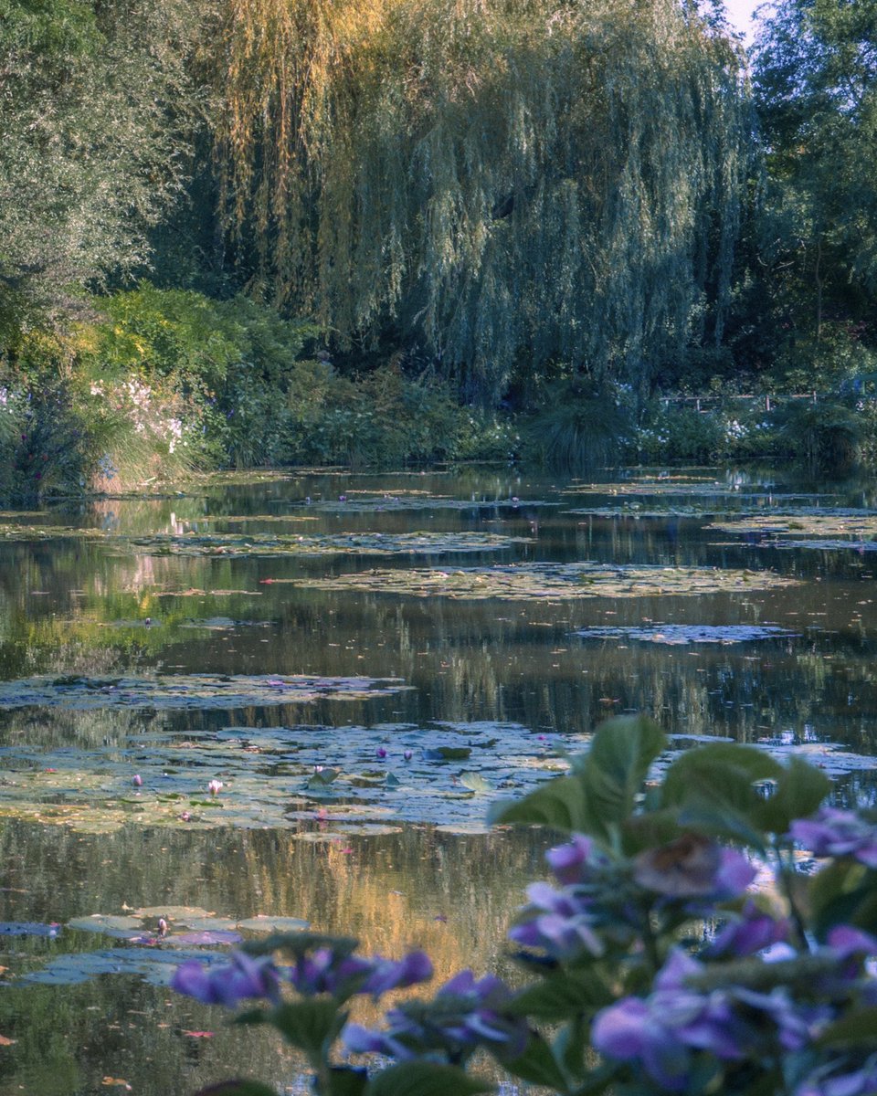 Monet’s garden photographed by me