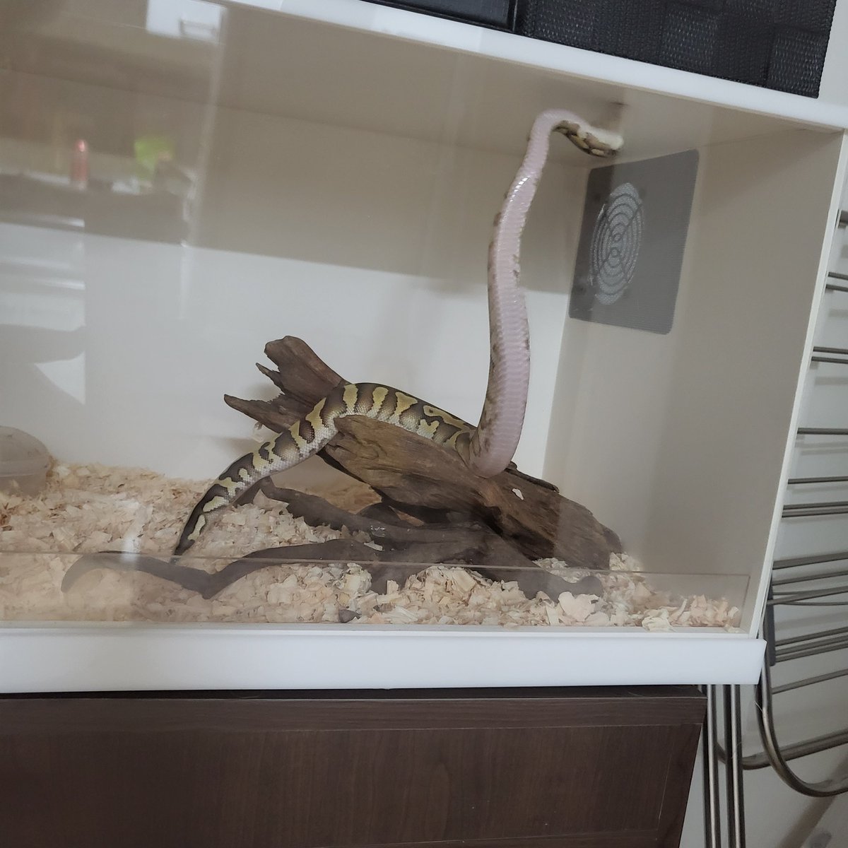 승천한다ㅏㅏㅏ