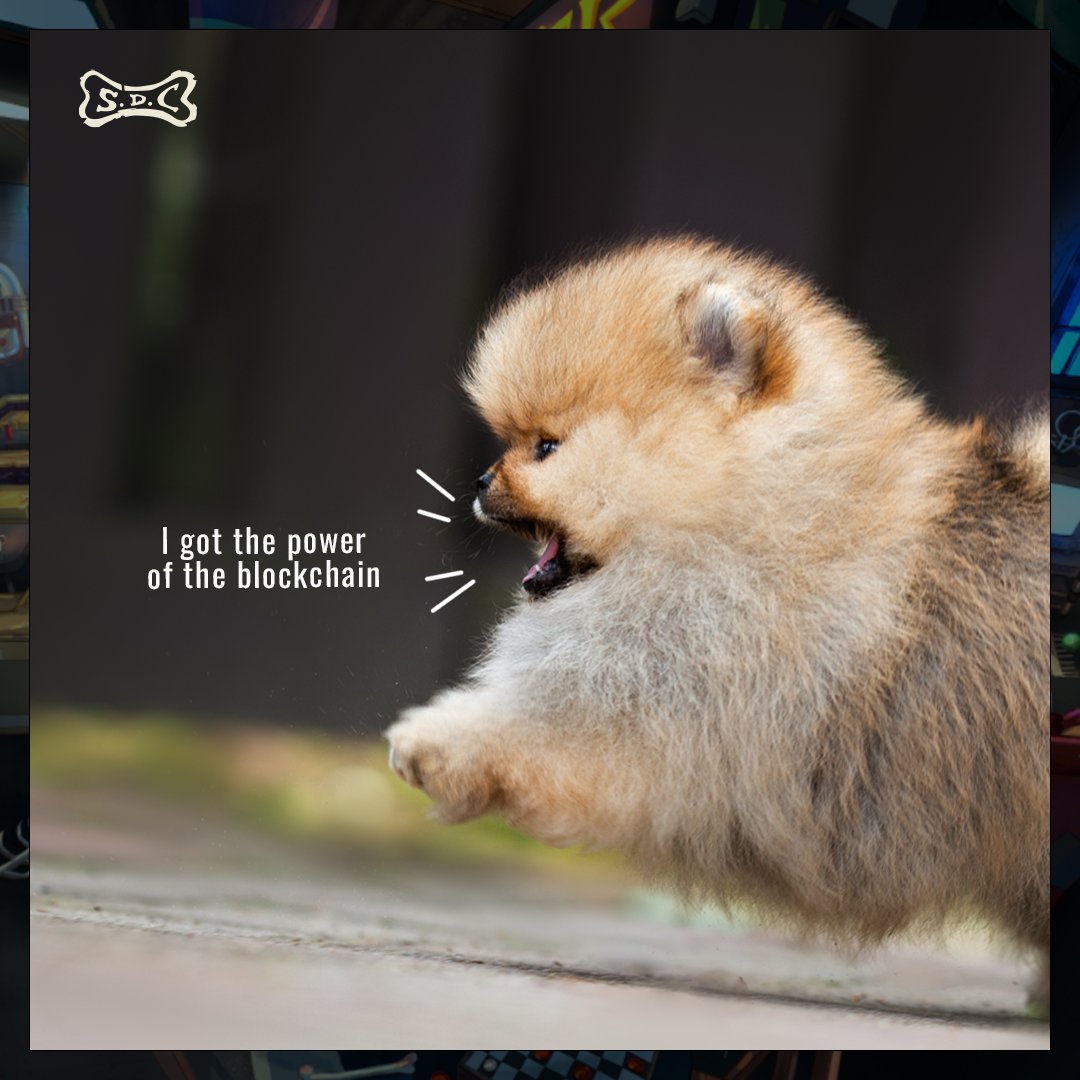 Los ganadores de 1 NFT de <a href="/NotJarritos/">NotJarritos.eth🥤 MINTING-NOW</a> y 1NFT de <a href="/StrayDogsClub1/">StrayDogsClub</a> son: 
- <a href="/Junior1993__/">Junior.🌐</a> 
- <a href="/RootsRebel1/">MigueVzla ♻️</a>
🥳🤩 Felicidades!, esperamos sus wallets 🎁🐶

#NFTGiveaway #NFTCommunity