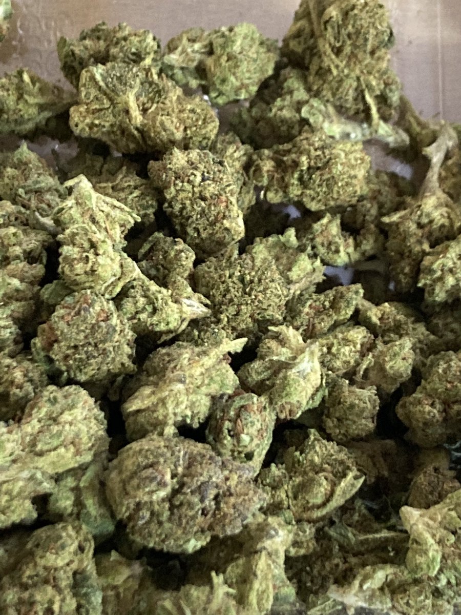 weeping willow tweet media