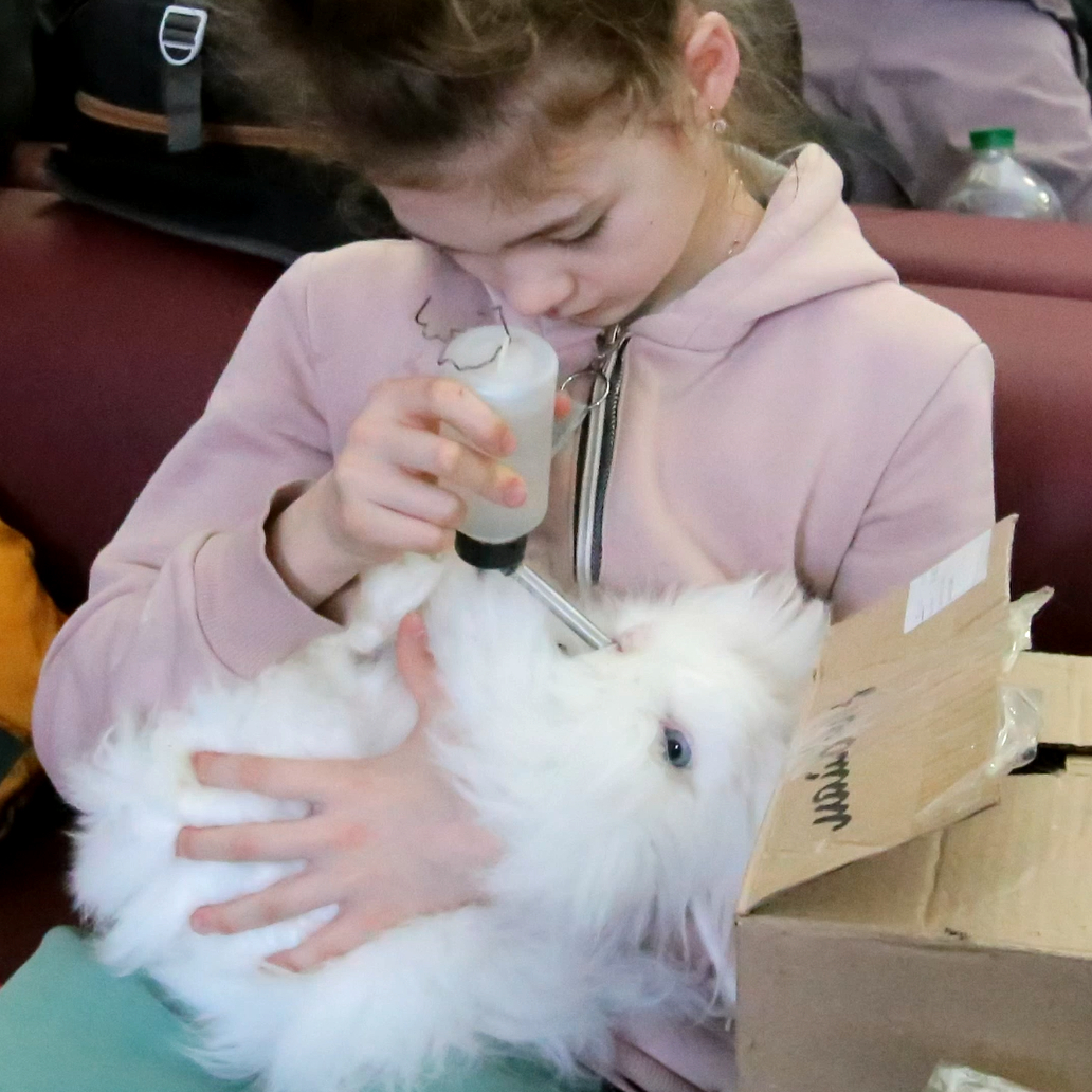 Music4Ukraine's tweet photo. Both children and animals are in urgent need of help, and we will send all funds raised by the charity single #HealThisBrokenLand to the people of Ukraine.

You can watch the video and donate to the cause via the link in bio.

#Music4Ukraine #charitysingle #bandaid #ukraine https://t.co/NvGwYHWB3p