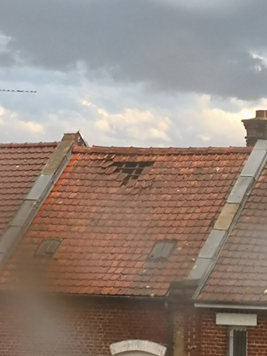 스리 🦈 ANOTHER DIMENSION!!!!! tweet media