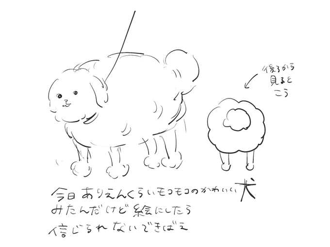 犬も見た 